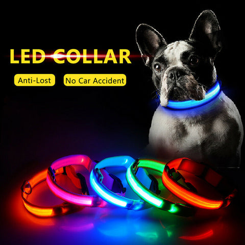 Fashion candy color LED Dog