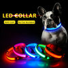 Fashion candy color LED Dog