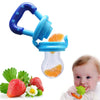 Baby Food Pacifier Fresh Fruit Feeder