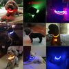 Fashion candy color LED Dog