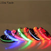 Fashion candy color LED Dog