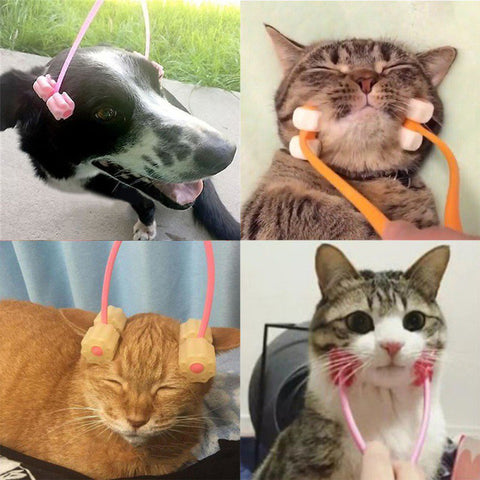 Cat Massage Tool pet Massager