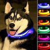 Fashion candy color LED Dog