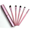 BBL 5pcs Travel Portable Mini Eye Makeup Brushes