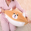 Soft Animal Cartoon Pillow Cushion