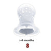 Baby Food Pacifier Fresh Fruit Feeder